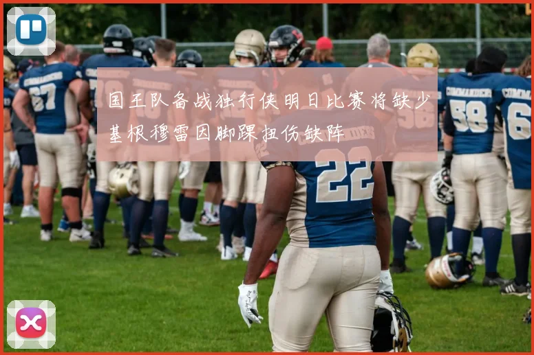 国王队备战独行侠明日比赛将缺少基根穆雷因脚踝扭伤缺阵